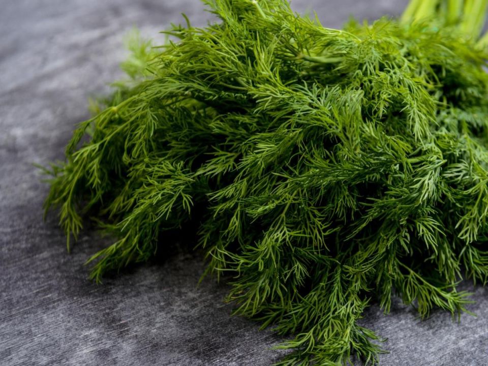 ������� ����� �� �������: ��� �������� ������� � ������� ��� �����