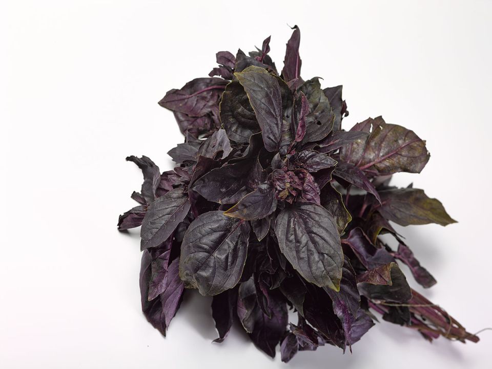 ������� �� �������: ����� �������� ��������� �� ��������� ���������?