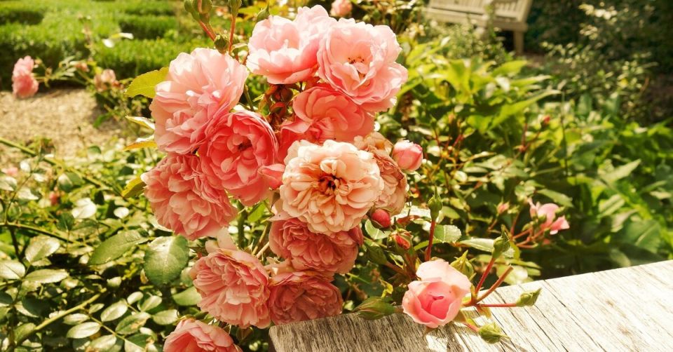 ������� ����� ������ � ����� � ����� ����