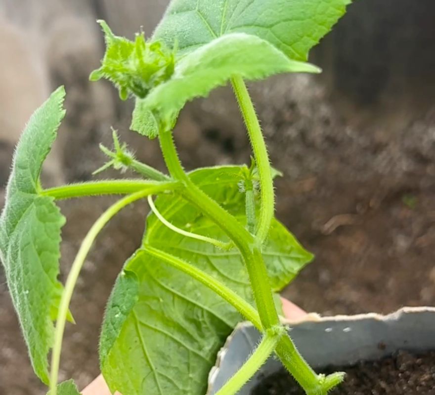 ��������� ��� �������: ��� ��������� ������ � ������� 5 ������ ���������