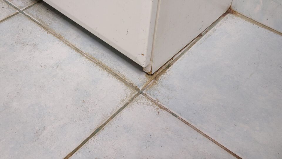 ����������� ������� ������� ������ � ����: ������� ��� ������