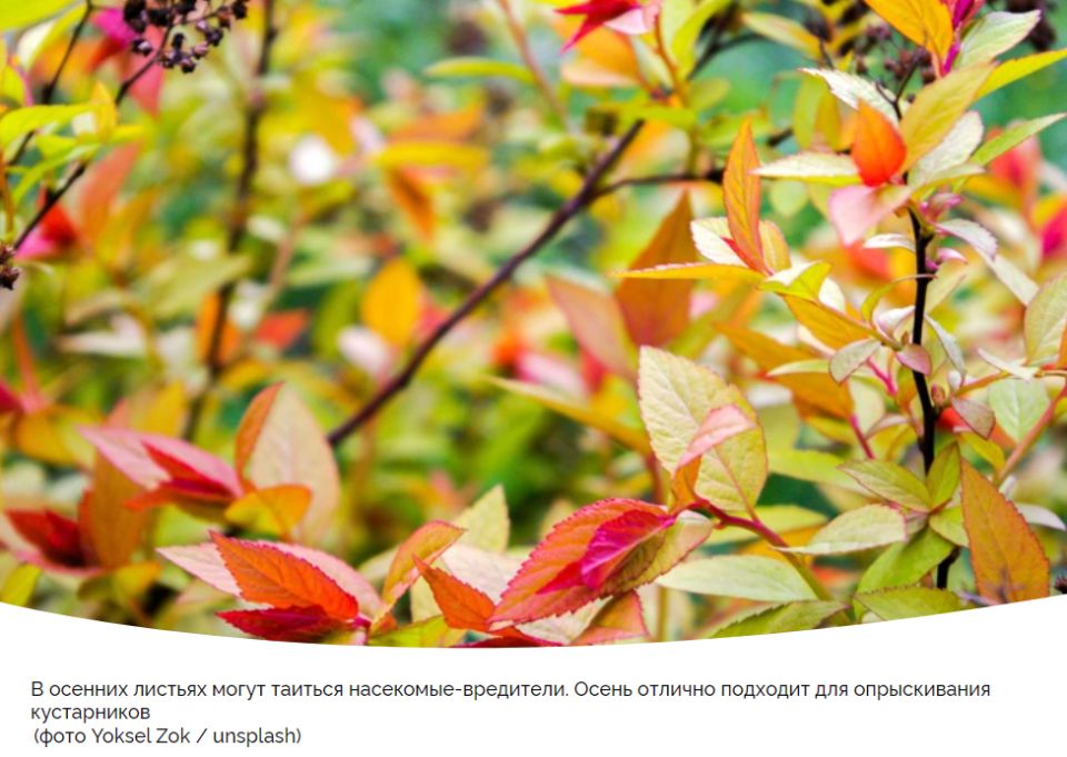 ���������� ����������� � ����: ������� ������� ��������� ��� ������� �������� � �������� ������