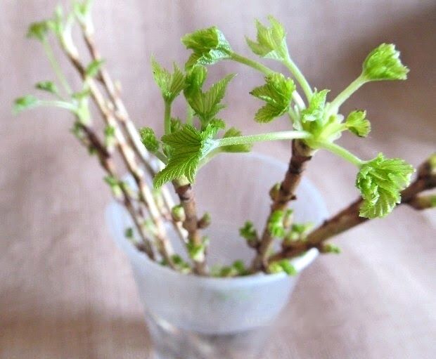 ���������� ������ ���������: ����������� ����� ��� ������������ ����