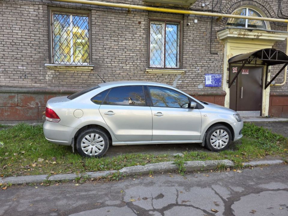 ��� ������� �������� ���� ���� �� �������� � �����������