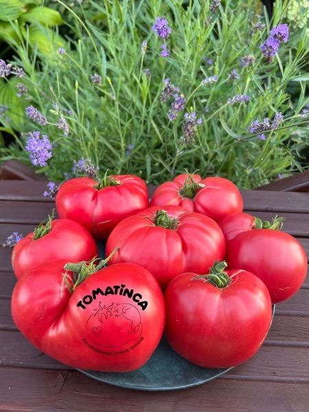 ����� ���� ������ ��������: ������ � ������������ �������