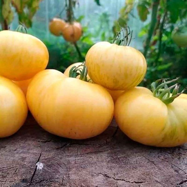 ����� ���������� ���������: ����� ����� � ������������ ���� ��� ������ �������