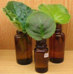 ����������� ������: ������� ���� ��� ������