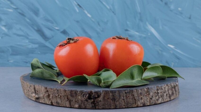 ����� ����� �������, � ����� ������: ������ ����������