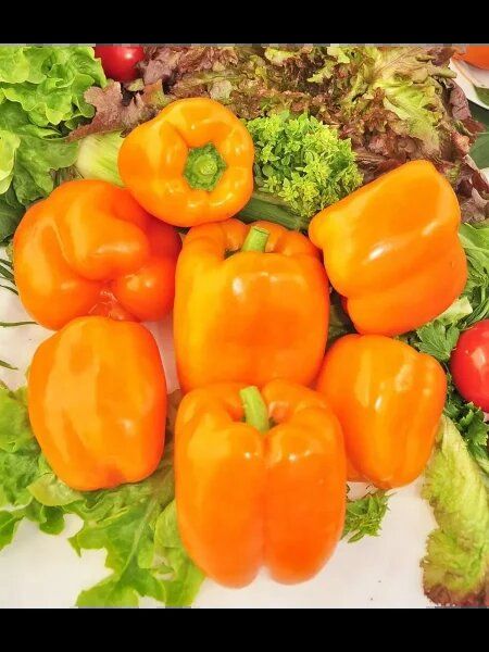 Перец Невский: идеальный гибрид для теплиц