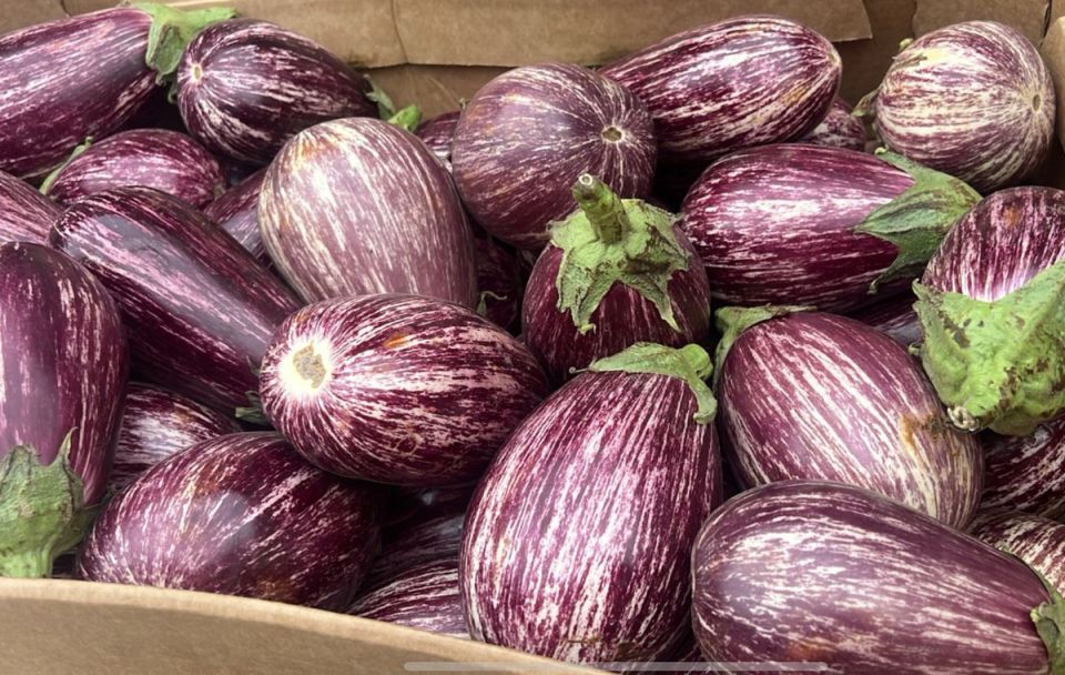 Как избежать горечи в грейпфрутах и баклажанах: простые советы