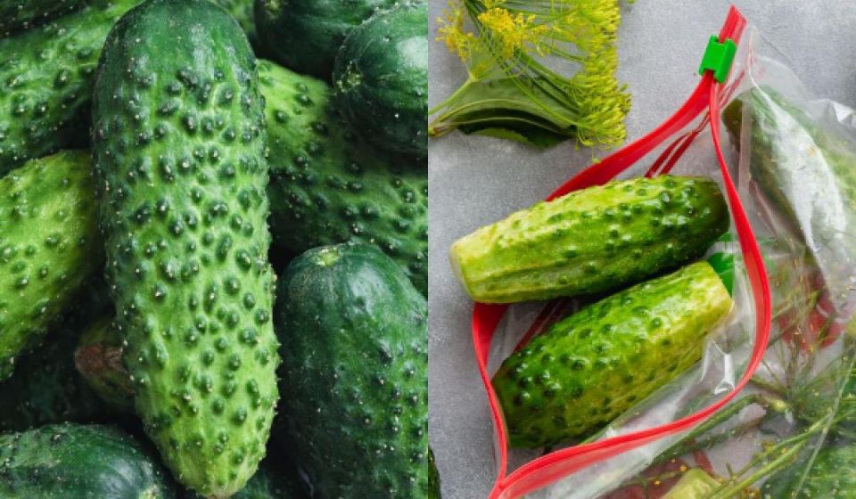 Секреты хранения огурцов: Как сохранить свежесть и вкус на неделю