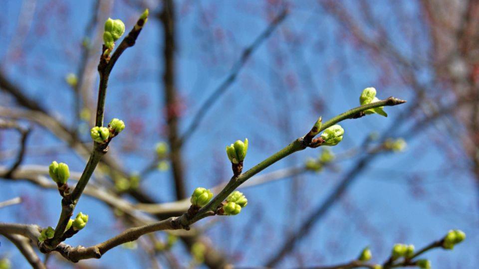 �������� ������ � ����: ��� �������� �������� � ��������� ������