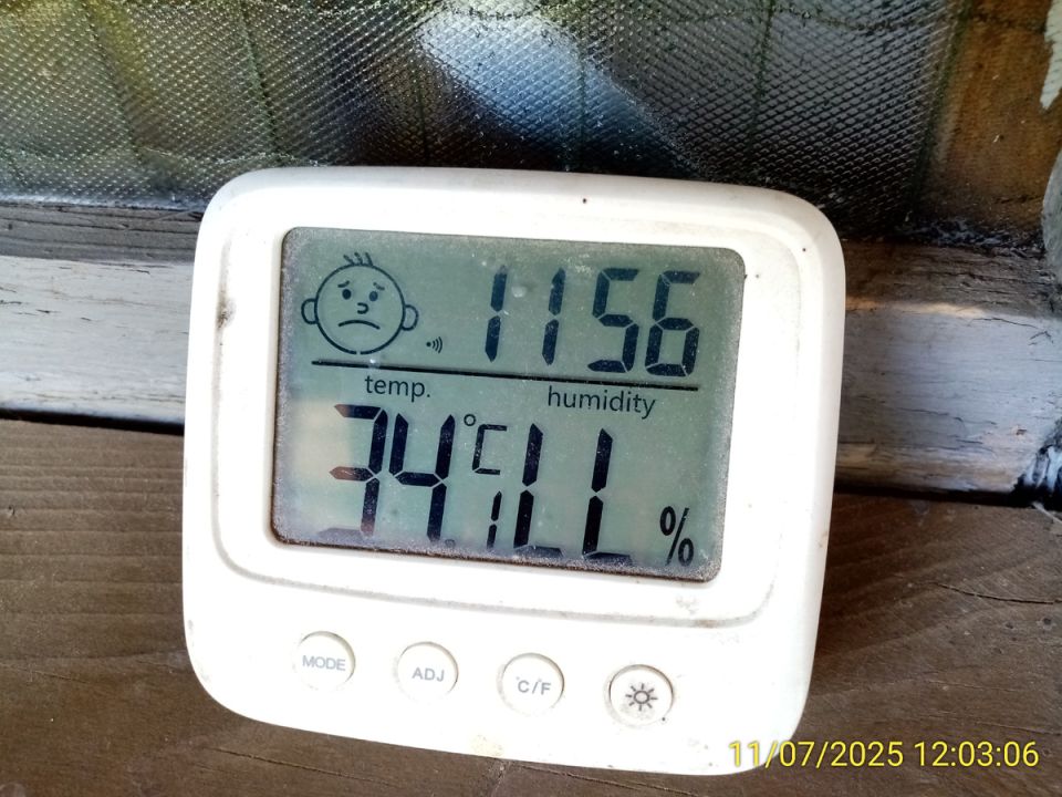 ��� ���� ������ �� ������: ������, ����� � ������ �������