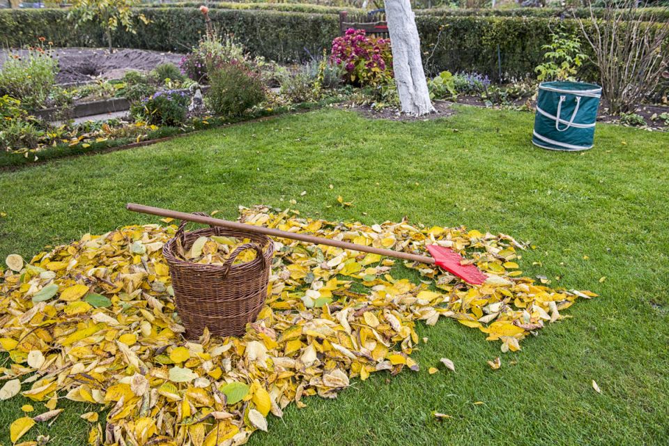 ������� ������������ ������� � ����: ��� ������� ������