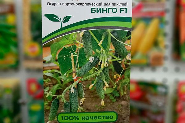 ������ �����: ����� ����� � �����������