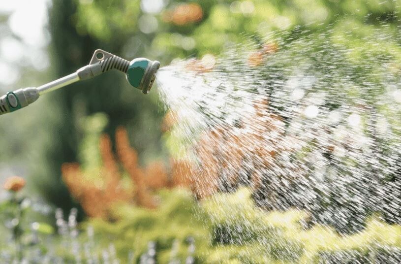 ������������� �����: ��� ��������� ��� �� ������� � ���������� ������� ������