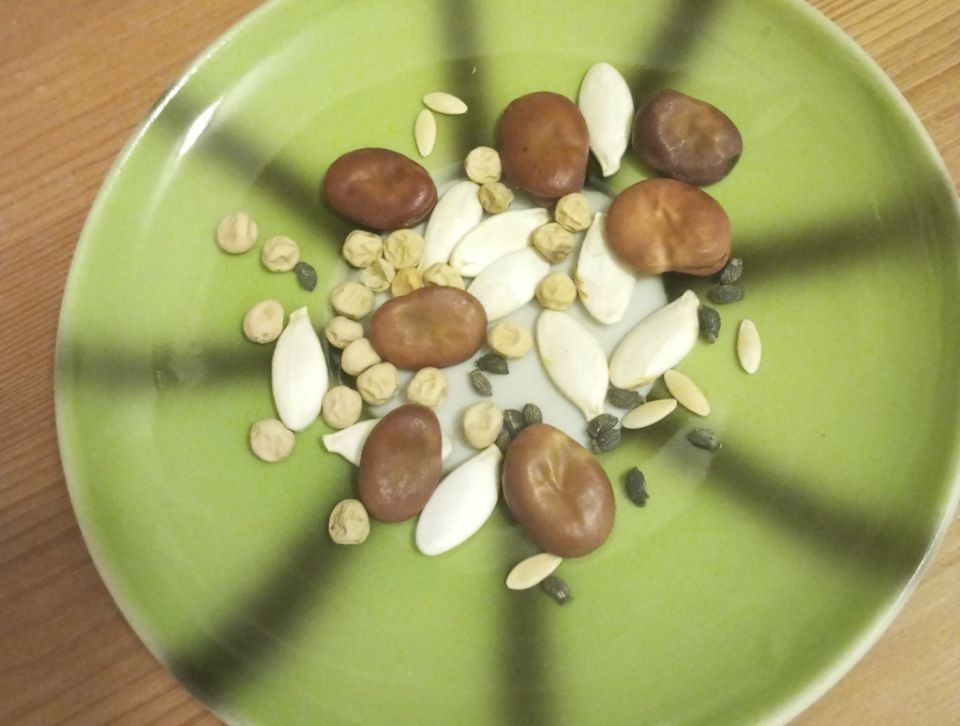 ��� ��������� ������� ������ ������ ��� ����: ������ ���������