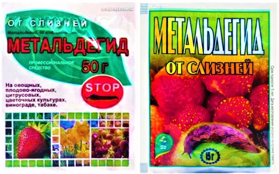 ��� �������� �������� �� ������������� �������: ������ ��� ���������