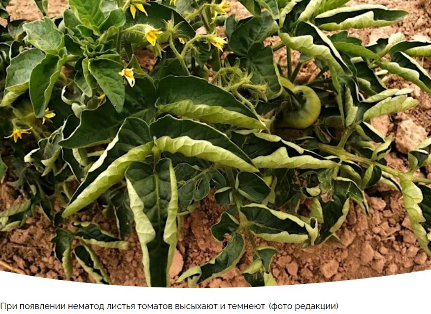 ����������� ������ ������ � ���������� �� ����� ������� ���������